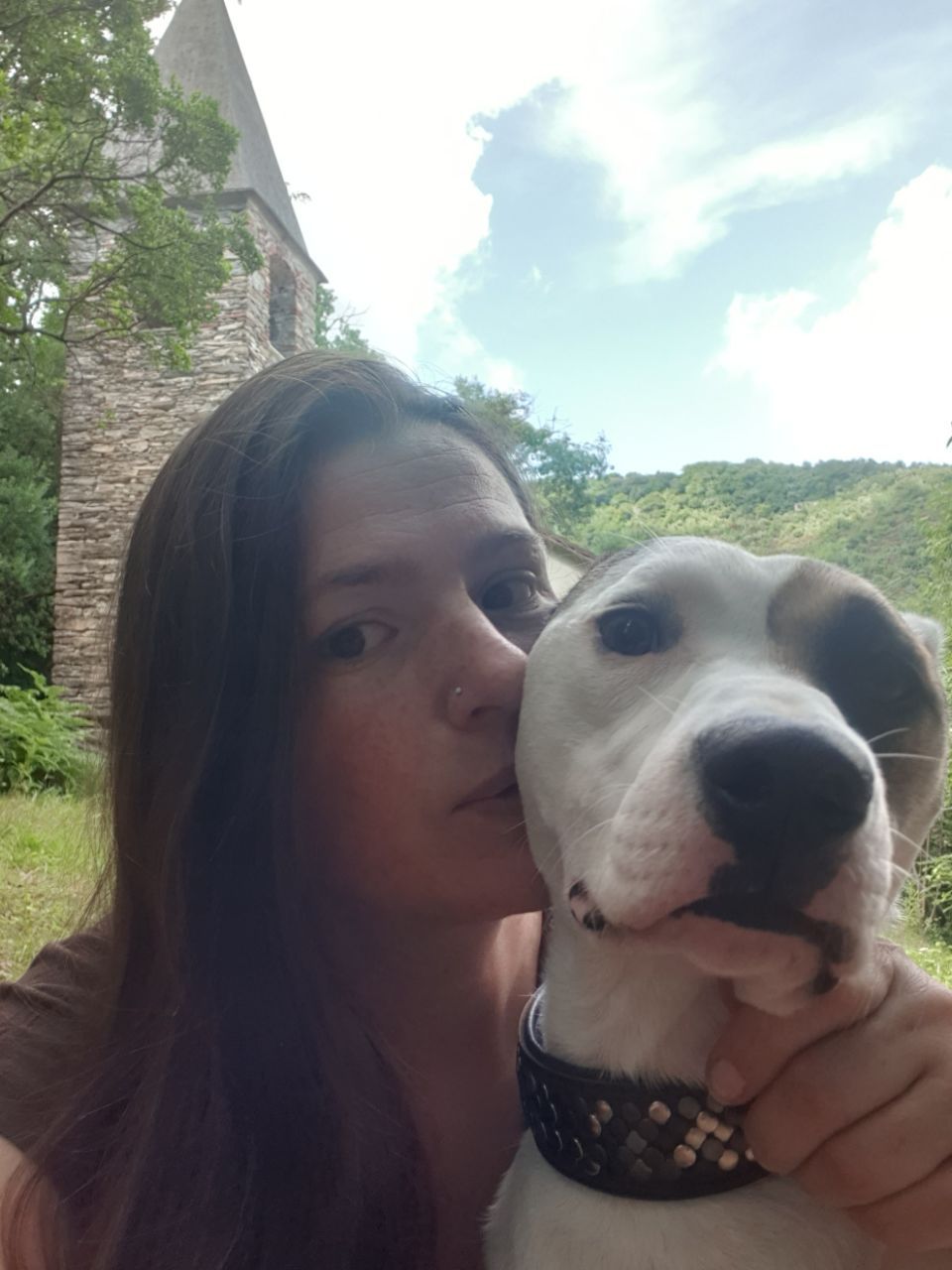 Belinda Grassi Tierheilpraktiker Hundephysiotherapie Hundetraining Hundeschule Belinda Grassi Sehnde Hildesheim Hannover