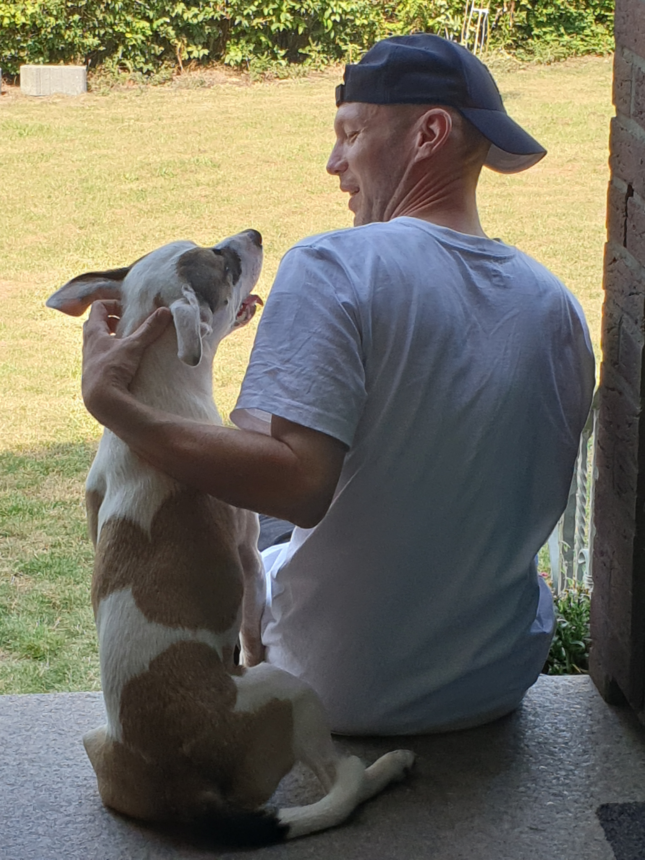 Hundetraining im Alltag in Sehnde Belinda Grassi Tierheilpraxis Hundetraining Hundeschule belinda Grassi